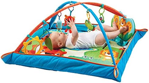 tiny love gymini kick & play