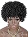 Kalyss Premium Synthetic Short Afro Kinky Curly Wigs for Black Women Realistic Black Curly Wigs Lightweight Soft Natural Curls Hair Wigs