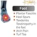 TherMedic PW180 - Infrared Foot Heating Pad / Heat Wrap for Plantar Fasciitis, High Heel Pain, Heel Spurs, Tendonitis, Bursitis (hot and cold therapy)