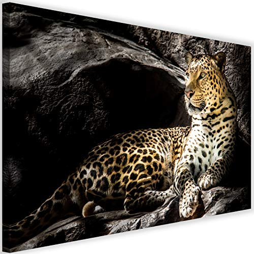 516mh9ADavL Feeby Cuadro de Pared XXL Leopardo Impresión Lienzo Animal Naturaleza Negro 120x80 cm Feeby Cuadro de Pared XXL Leopardo Impresión Lienzo Animal Naturaleza Negro 120x80 cm