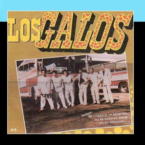 077  UN MINUTO DE TU AMOR - LOS GALOS Lyrics - Zortam Music