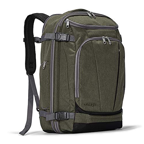 eBags TLS Mother Lode Weekender Convertible Carry-On Travel Backpack - Fits 19 Inch Laptop - (Sage Green)