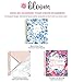 HARDCOVER bloom daily planners 2019-2020 Academic Year Vision Planner (August 2019 - July 2020) - Monthly & Weekly Column View Calendar Organizer - 7.5