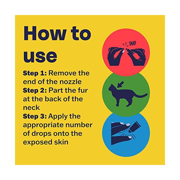 Bob Martin Clear | Spot On Wormer for Cats & Kittens | 100% Effective Tapeworm Treatment (2 Pipettes)