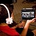 GOgroove KDZ Kids Safe Over-Ear Polar Bear Headphones with Volume Limiting Sound - Works with Samsung Galaxy Tab 3 7.0 Kids, LeapFrog LeapPad3 and 2 , LeapPad Ultra XDI and more!