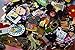 Disneyland World Trading pin lot 50 Booster Hidden Mickey Princess Donald More-by NANSY