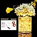 IDESION 2 Pack 20 Feet 60 Led Fairy Lights Waterproof Copper Wire Twinkle String Lights with 2 Mode Charging Type USB Powered/Battery Operated for Bedroom Indoor Holiday Decoration