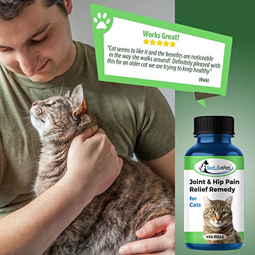Nutramax Laboratories Cosequin Tablet for Cats Pricepulse