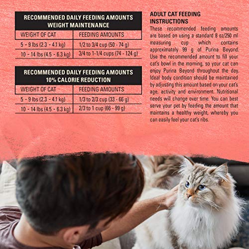 PURINA BEYOND NATURAL GRAIN FREE DRY CAT FOOD SIMPLY INDOOR SALMON, EGG AND SWEET POTATO RECIPE – 3 LB. BAG
