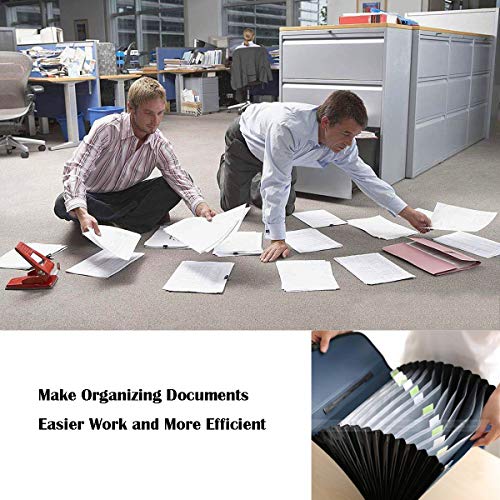 13 Pockets Expanding File Expandable Portable Expanding Accordion Folders Hand-Held Accordion File Document Folder File Organizer A4 and Letter Size(13 Pockets Expandable Portable Blue)