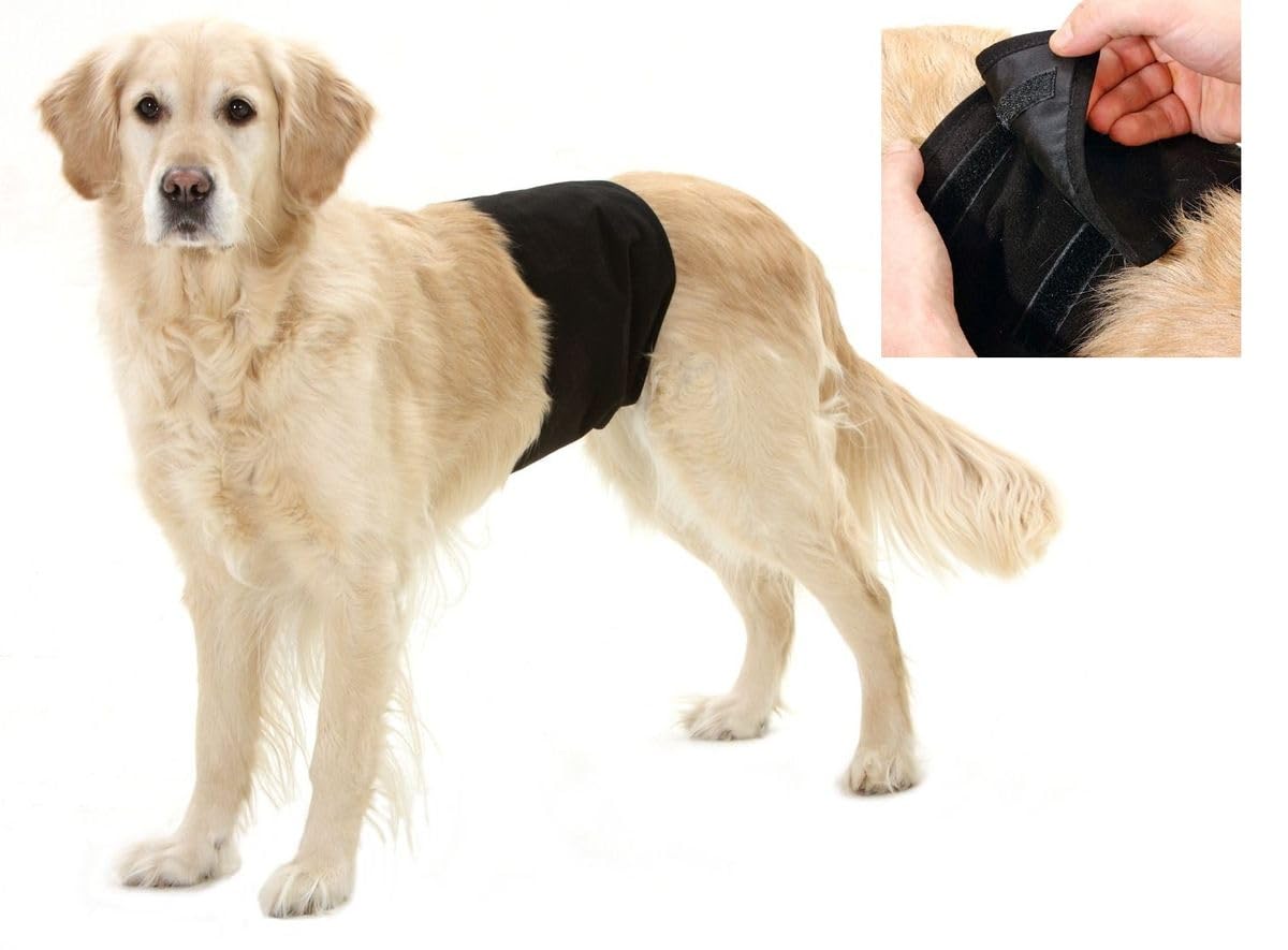 Karlie Dog Pant, 90 x 30 cm, Black