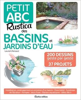 bassin de jardin rustica