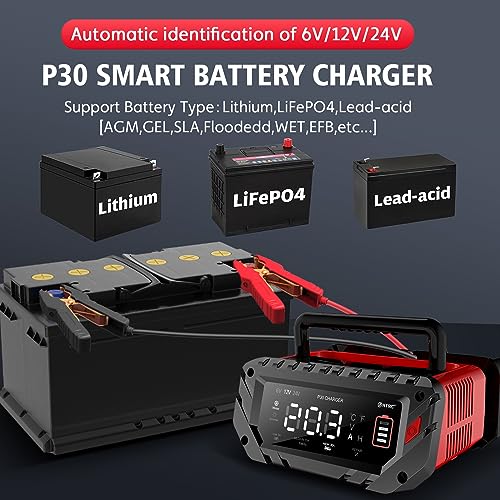 HTRC 6 V/12 V/24 V car battery charger, 30 A chargers for car batteries, battery charger for car, motorcycle, lawn mower, boat, lithium, LiFePO4 and lead acid (AGM, Gel, MF, EFB, SLA, VRLA, Wet)