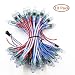 12V 500pcs WS2811 RGB LED Pixels Light Individually Addressable 12mm Diffused Digital Full Color LED Pixel Module Light for LED Screen Wall Advertising Sign Board IP68 Waterproof(12V RWB Wire 500pcs)