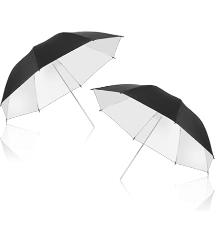 BRITEK [2 PCS] Professional Studio 24"/60cm Black Silver Reflector