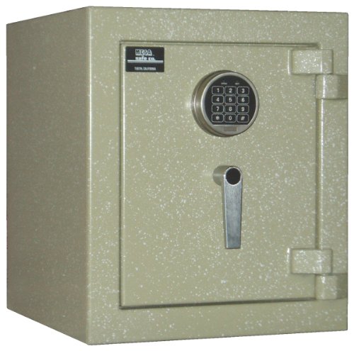 Mesa Burglar and Fire Safe