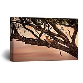 A Leopard Lying on a Tree Branch