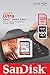 SanDisk 128GB SDXC SD Ultra Memory Card Works with Canon Powershot SX60 HS, SX430 is, SX540 HS Camera UHS-I (SDSDUN4-128G-GN6IN) Bundle with (1) Everything But Stromboli Combo Card Reader