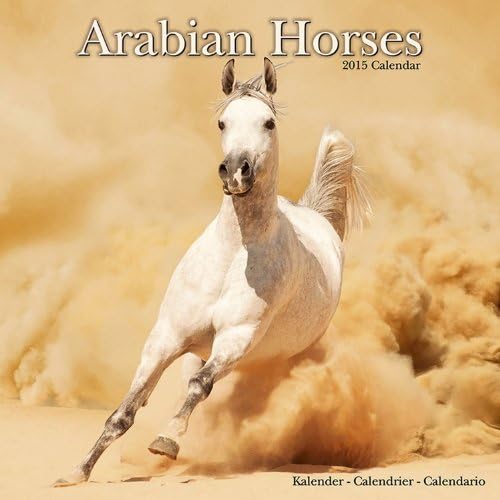 ARABIAN HORSES 2015 Wall Calendar Calendar – 1 Jul 2014