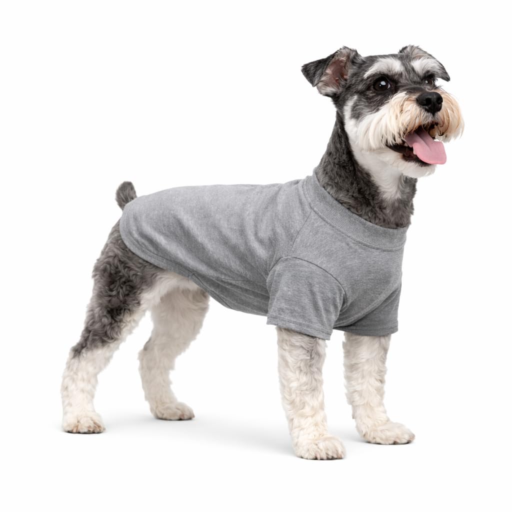 Lovelonglong Pet Clothing Dog Costumes Basic Blank T-Shirt Tee Shirts for Small Dogs Gray L