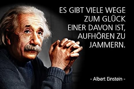 Schatzmix Albert Einstein Es Gibt Viele Wege Zum Glück Einer Davon Ist Aufhören Zu Jammern Spruch Blechschild
