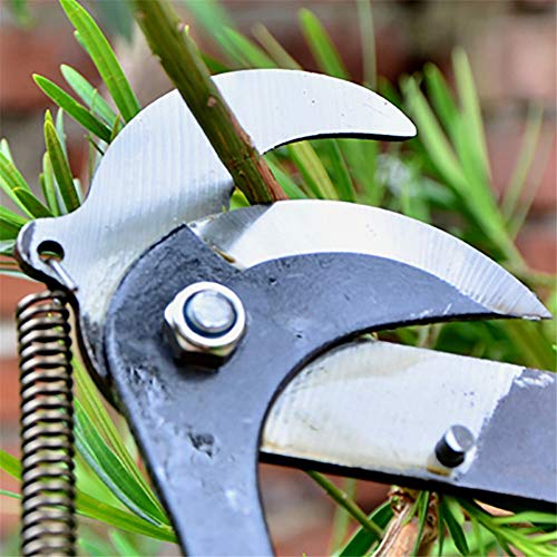 High Altitude Astschere Baum scharf Trimmer Branchen Cutter Gartenschere Pick-Frucht-Werkzeug mit Seilrolle Shear – Bild 7
