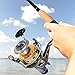 Isafish Spinning Fishing Reels with Front & Rear Double Drag Brake System for Left or Right Hand, Saltwater or Freshwater - Smooth Powerful (6000)