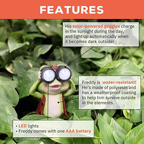 New Solar Frog Lawn Ornament - Limited Edition ‘Freddy The Explorer’ - 8 inches Tall - Solar Garden Statue - Thumbnail 2