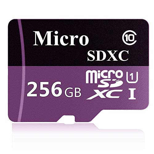 TBLM Disk Micro SD Card 256GB High Speed Class 10 Micro SD SDXC Card with Adapter