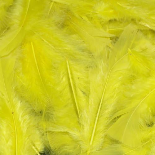 25g BAG YELLOW FEATHERS