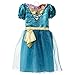 Disney Princess Merida Dress