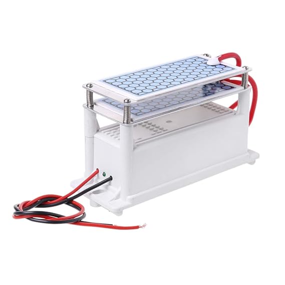 Ycncixwd 220 V 10 g/h placa de cerámica generador de ozono doble ...