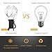 Volterin 25+25 Ft Cork LED Light G40 Globe String Lights w/Clear Bulbs,UL Listed,Hanging Indoor Outdoor Bistro Pergola Backyard Tents Market Cafe Gazebo (25+25 Ft)