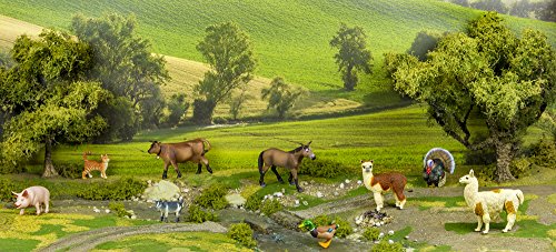 Safari Ltd Safari Farm Mallard Duck (Male)