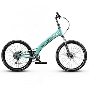 elliptigo arc 8 review