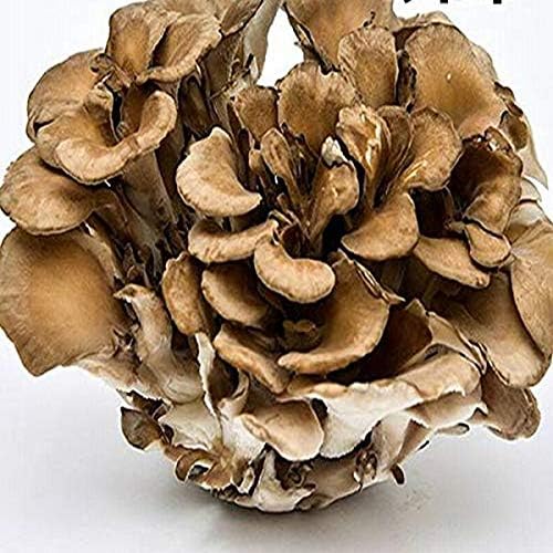 Amazon 産地厳選 まいたけ 舞茸 1パック 送料別 808青果店 舞茸 通販