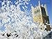 Dove Balloons Pack of 10 are 100% Biodegradable Perfect for Ceremonies, Weddings, Birthdays and More. Eco-Friendly & Huge White Balloons