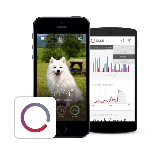 Tractive MOTION Pet Activity Tracker Find the best dog technology