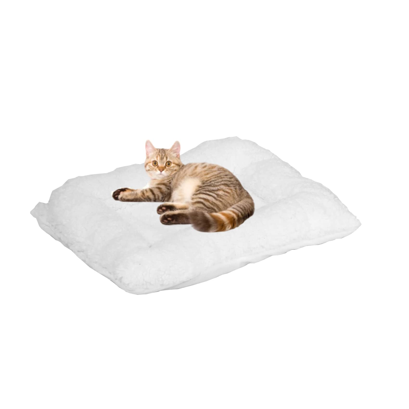 Bonlife White Pet Pad for Indoor,Winter Soft and Comfortable Warming Lambs Wool Cushion Suitable for Small Cat House,Washable Dog Bed Pad,40x32X6cm