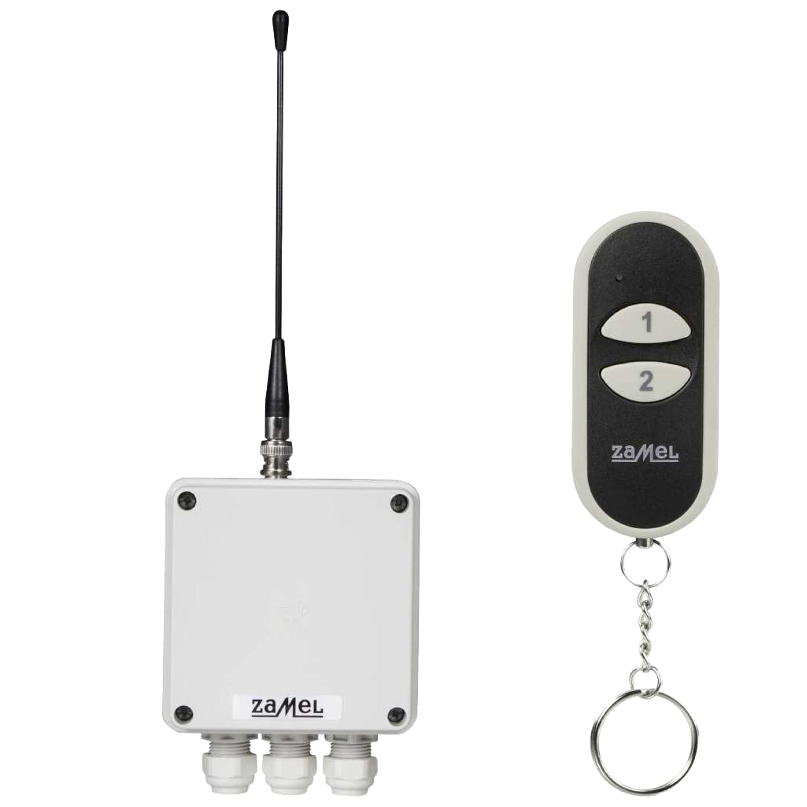 ETERO RWS-211D / N Radio Switch Set with Transmitter, 2-Channel (1 Piece)