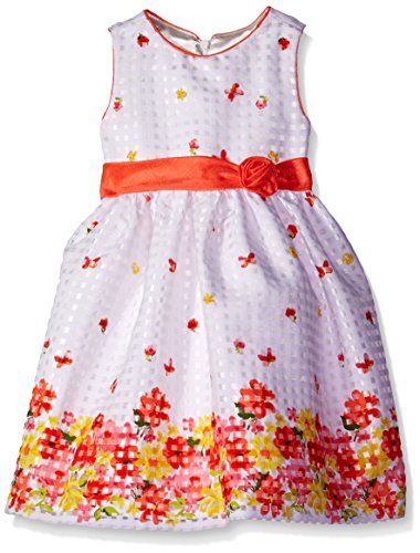 American Princess Little Girls Toddler Shantung Dress Coral Floral 3t |  Desertcart Brunei