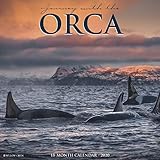 Orca (Journey With the) 2020 Wall Calendar by 