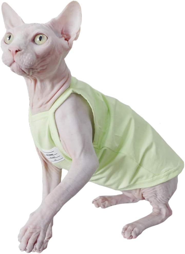 hairless cats and dogs