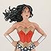 Icon Heroes DC Heroes Wonder Woman Paperweight Statue