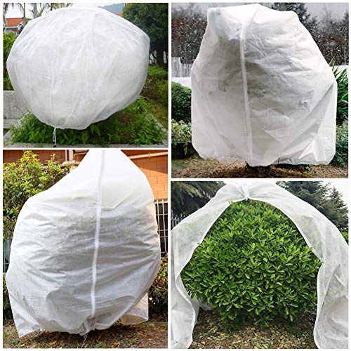 Plant Covers For Frost Lowes at Richard Yates blog