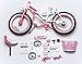 Royalbaby Jenny Princess Pink Girl's Bike with Training Wheels and Basket, Perfect Gift for Kids, 12-14-16 inch wheels