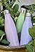 MIRA Stainless Steel Vacuum Insulated Water Bottle | Leak-proof Double Walled Cola Shape Bottle | Keeps Drinks Cold for 24 hours & Hot for 12 hours (Lavender Violet, 25 oz (750 ml, 0.8 qt))