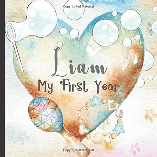 Liam: Record and Celebrate Your Baby's 1st Year With This Baby Milestone Journal Paperback – June 11, 2019