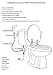 Brass Handheld Bidet for Toilet Set Bidet Sprayer Combo for Bathroom Attachment Baby Cloth Diaper Sprayer Kit and Muslim Shower with Hose and T Valve Chrome