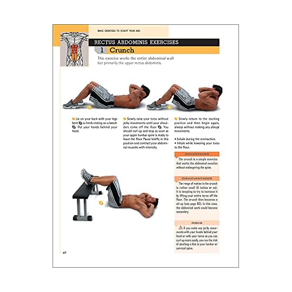 Delavier's Core Training Anatomy